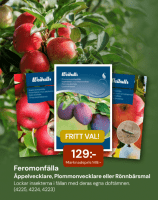 Feromonfälla - nu på kampanjpris 