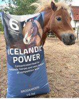 Icelandic Power