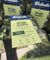 Skugga gräsfrö