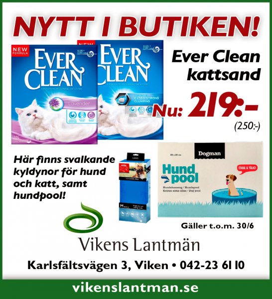 EverClean kattsand