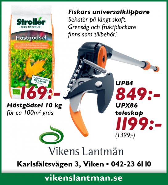 Höst i trädgården!