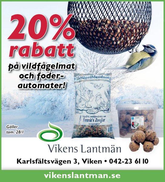 20% Rabatt hos fåglarna!