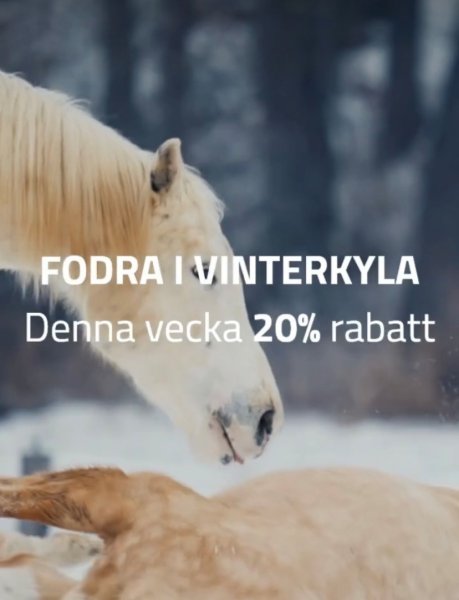 20% på Dodson & Horrells foder!