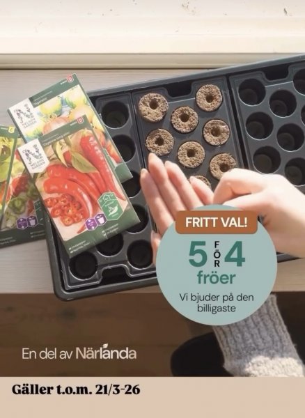 5 för 4 på fröer