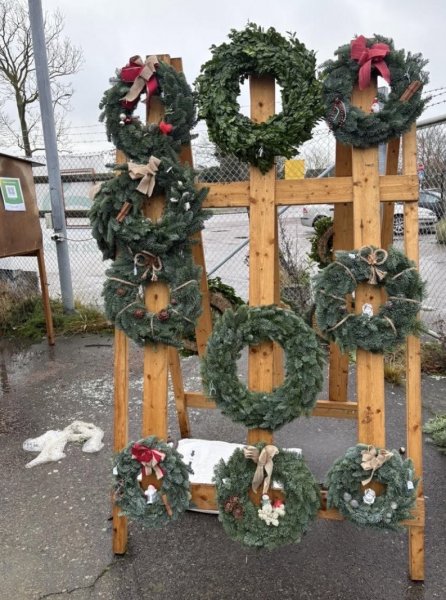 NU HAR FÖRSÄLJNINGEN AV JULGRANAR OCH JULKRANSAR BÖRJAT 