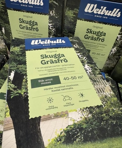 Skugga gräsfrö