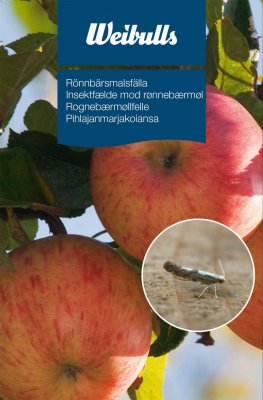 RÖNNBÄRSMALSFÄLLA WEIBULLS FEROMONFÄLLA