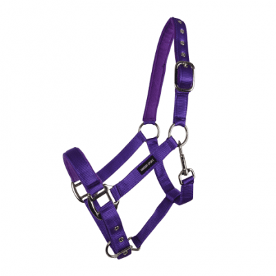 Hansbo Sport Grimma PP Frottéfodr Lila X-Full