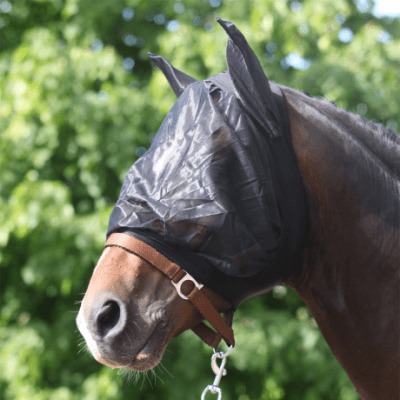 Hansbo Sport Flughuva Elastisk Svart XL