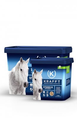 KRAFFT Vitamin B 1L