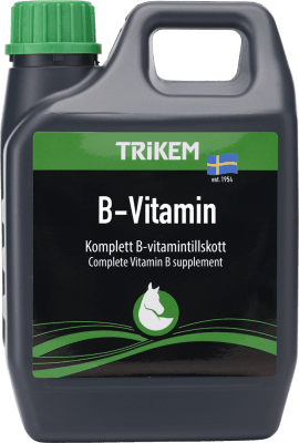 B-Vitamin 1000