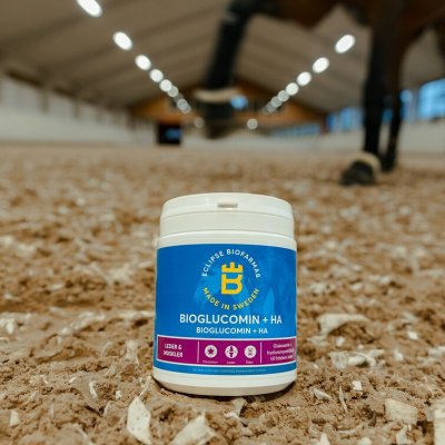 Bioglucomin + HA 450g