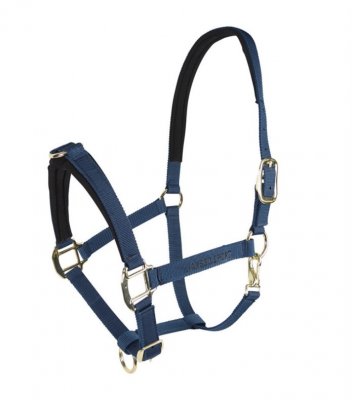 HS. GRIMMA BETESRE DUC.PON